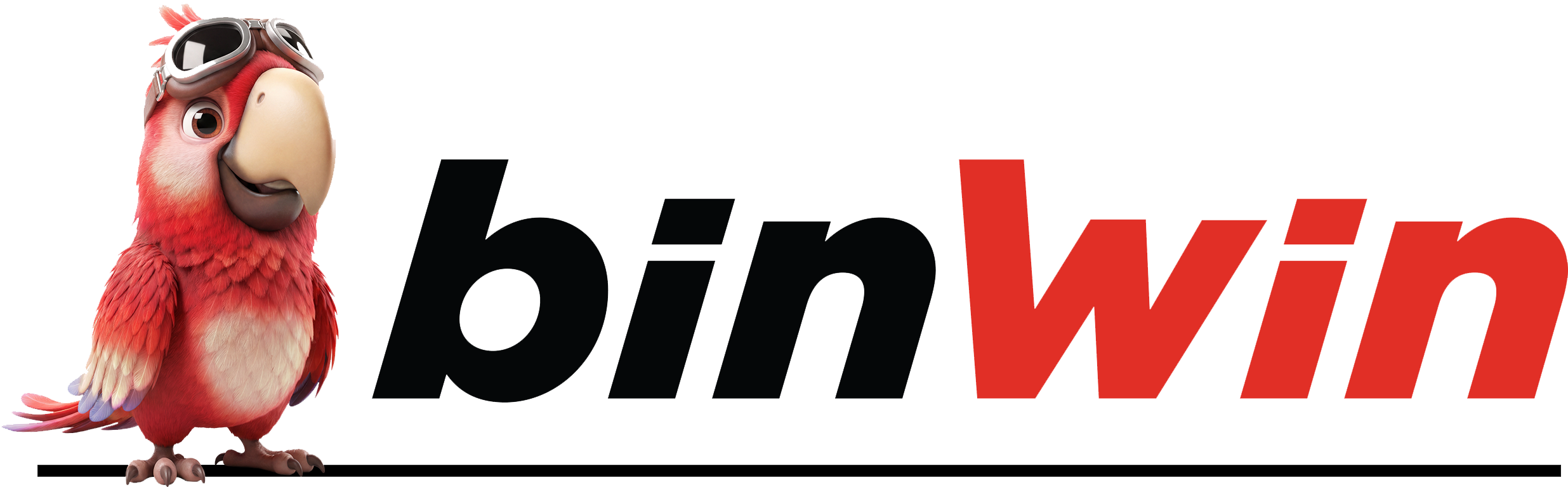 Binwin Logo
